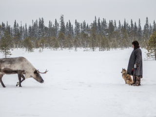 Master of Tundra - Russia