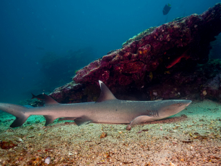 uw-gaEM102546_crop169