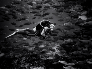 Ingredients in the fish soup - Komodo