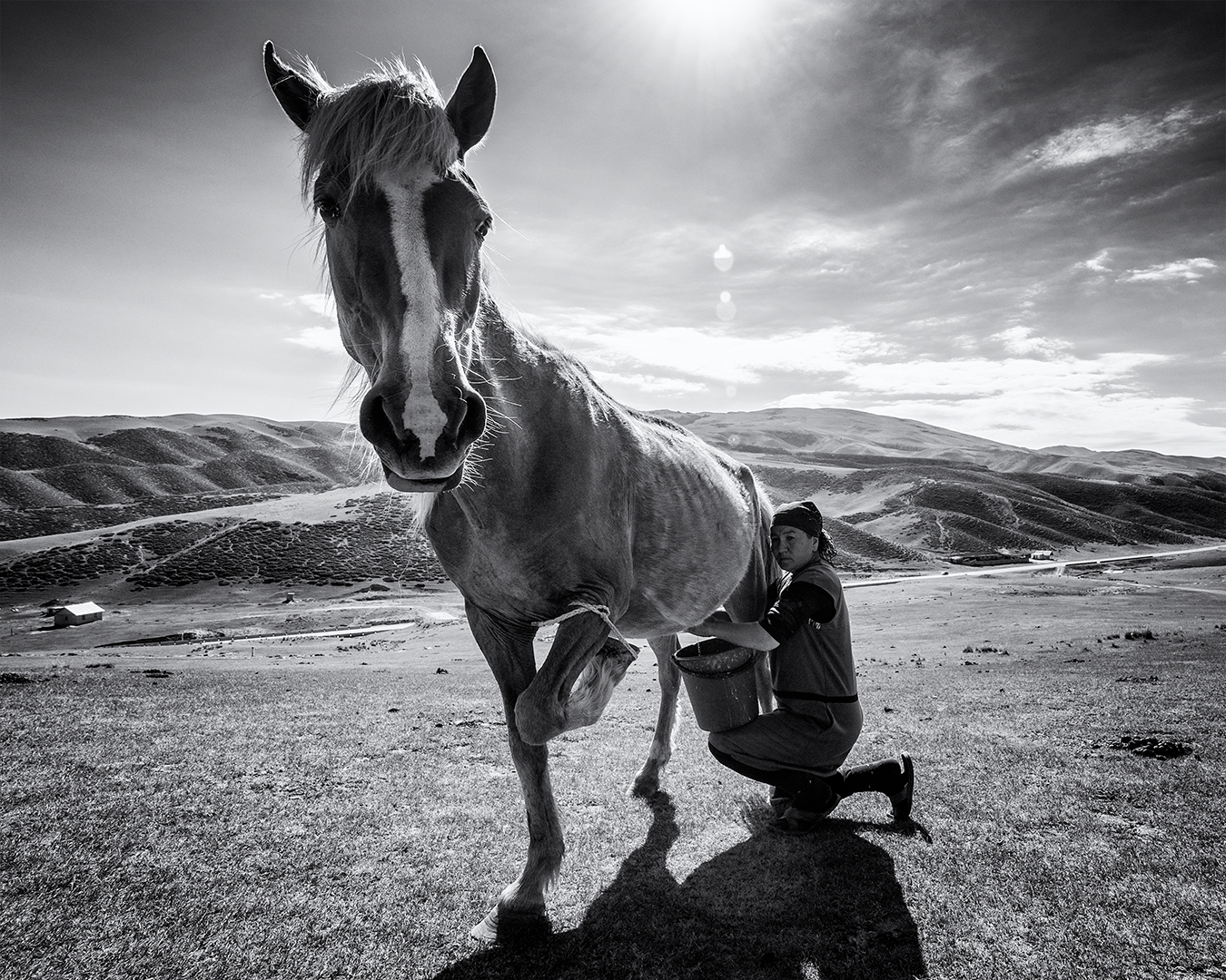 Horse Milk – Kyrgyzstan, Tash-Rabat, 2019